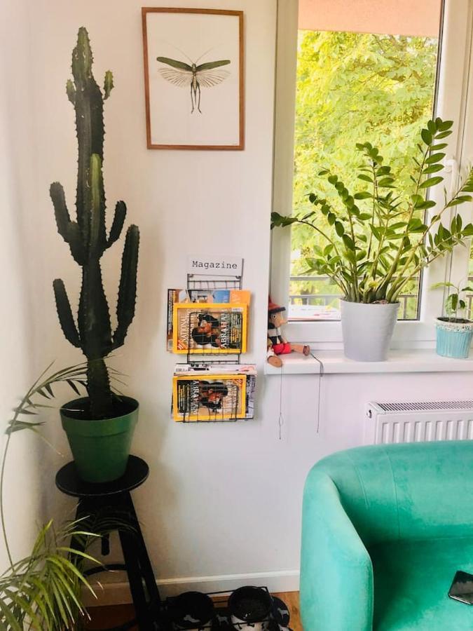 Stylowy Apartament W Centrum Miasta Bydhošť Exteriér fotografie